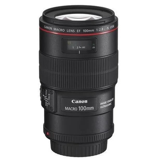 Canon EF 100 mm f/2.8L IS USM Macro
